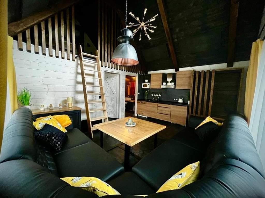 Willa Pod Jemiola Wisła Extérieur photo